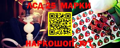 шишки Заволжье