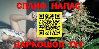 шишки Заволжье