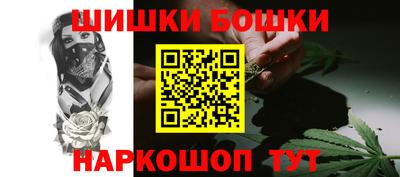 шишки Заволжье