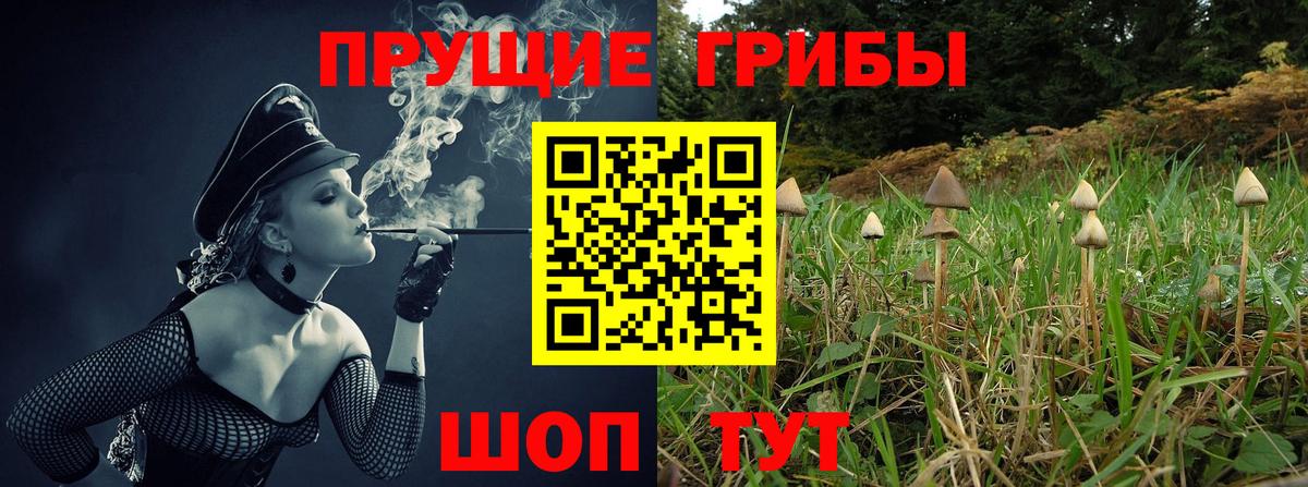 Галлюциногенные грибы мицелий  Псилоцибиновые грибы прущие грибы  Вход с VPN  Майкоп 
